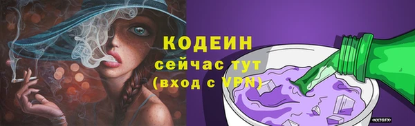 дмт Осинники
