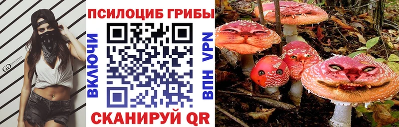 Галлюциногенные грибы Magic Shrooms  Полевской 